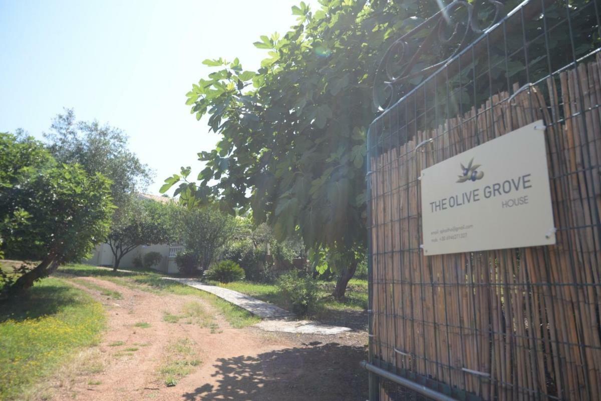 卡西奥皮The Olive Grove House别墅 外观 照片